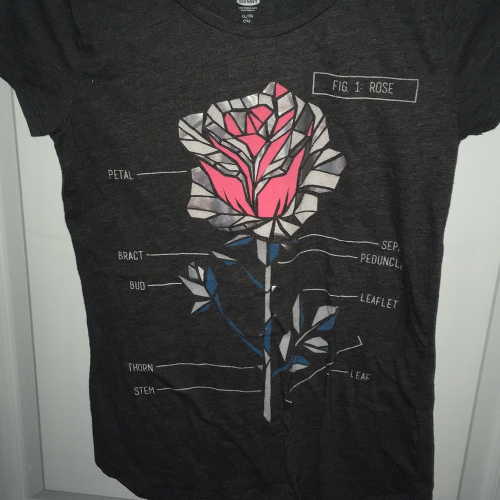 A tee shirt